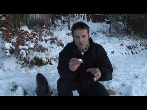 how to provide water for birds in winter