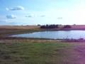 3 ponds to the north