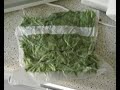 2005 harvest   9 hours in 3 minutes