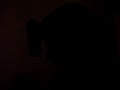flambi de tof flambi de tof