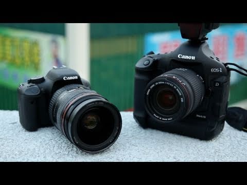 lens - We got sent a question asking us: What would be better? A pro DSLR with a cheapo lens or a cheapo DSLR with an expensive lens? Well, we thought we'd answer t...