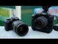 Pro DSLR + Cheapo Lens vs Cheapo DSLR + Pro Lens