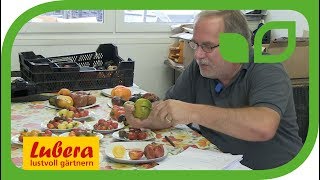 Die Aromavielfalt der Tomaten