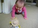 Ayla crawls-- sort of.