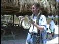 Aligators In Florida 1995