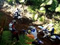 1º Encontro de Trilheiros Leões da Trilha