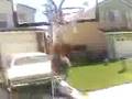 Video from My Phone (best dunk ever.3g2)