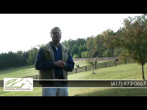how to fertilize horse paddocks