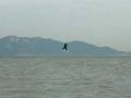 videos de Kiteboarding