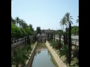 Ver Video