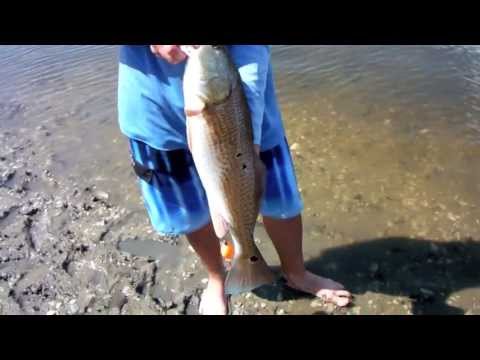 Wade Fishing Jacksonville Florida for Redfish and Flounder!