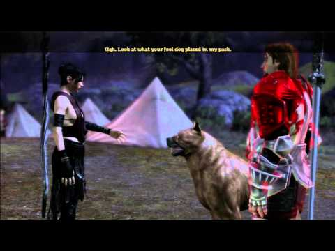 how to know age of dog