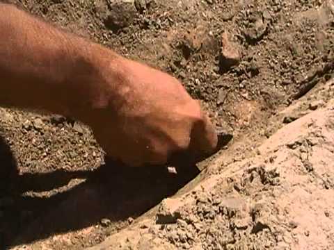 guarda il video