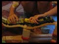 My Toy Train Derailments #1