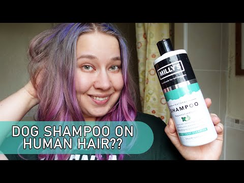 I washed my hair with dog shampoo for a week!