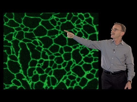 Mysterious Membranes Within the Cell – Randy Schekman (UCB/HHMI)