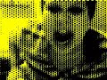 amarillo youcam amarillo youcam