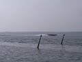 Fyn rundt i Skater Offshore Race Boat Fyn rundt i Skater Offshore Race Boat