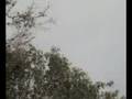 videos de Dia De CaMpO En IcHo CrUz