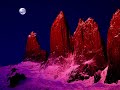 PATAGONIA PATAGONIA