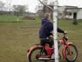 The Komar