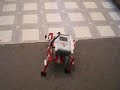 TXQ: The Excited Quadruped