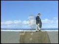 Dominique Barret - A l'ombre des palmiers