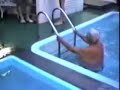 приколы с водой