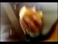 Jonas Brothers MTV Live & Mobile: Burgers [HQ]