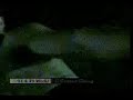 Hisardut: Knife Encounter