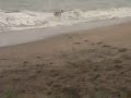 Skim 6月２４日