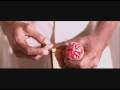 Animal Rights Africa Anti-fireworks video (short version) Animal Rights Africa Anti-fireworks video (short version)