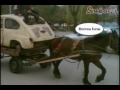 Welcome to Albania....lol Welcome to Albania....lol
