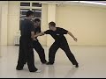 Tai Chi push hands ( Tui shou ) techniques