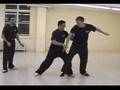 Tai Chi push hands ( Tui shou ) techniques