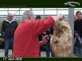 R�hlemann�s *7* \"BaumWurzelSkulpturen Ausstellungser�ffnung\"