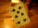 Best card trick in the world