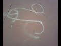 Dario mi ha rotto l\