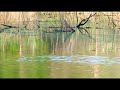 High Defintion on YouTube High Defintion on YouTube