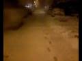 videos de Snowfall in Mondovì (CN) II - 30-11-08