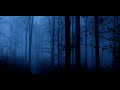 The Earth is Groaning - Unknown sound phenomena occurring 2011