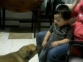 Daniel played with dogs, Ruby and Stella