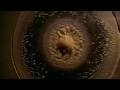 Cymatics, Fractals, and The Spirit Molecule (HD)