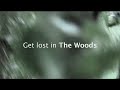 The Woods Harlan Coben