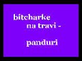 Bitcharke na travi - Panduri
