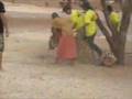 Tiger Temple/ Animal Cruelty -1