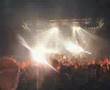 Mad Caddies @ Groezrock Meerhout 2005 Deconstruction Tour