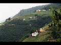 giresun-ya-ldere-elmabelen-kemal-okur-.html