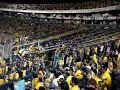 libres y lokos tigres jaguares y hip hop tigres