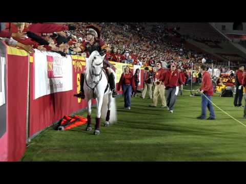 how to draw ucla mascot